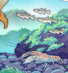 **Pre-Order** 'Frog Samurai' Wall Scroll